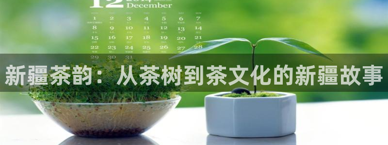 龙八国际手机版官网平台