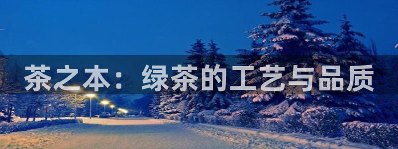 龙八国际娱乐pt老虎机