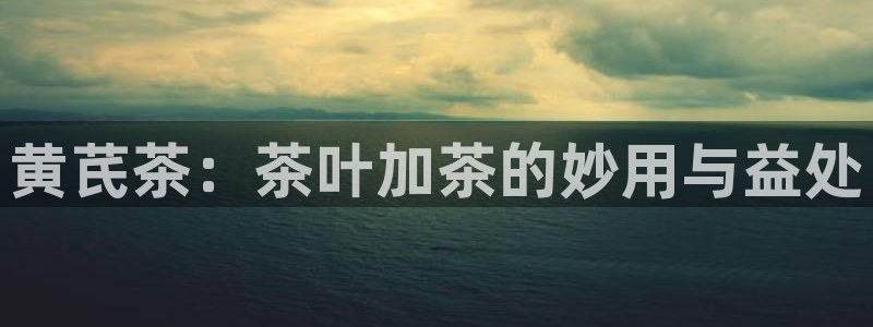 龙八国际苹果下载地址