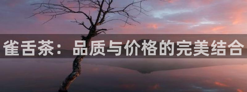 龙八国际官方网站