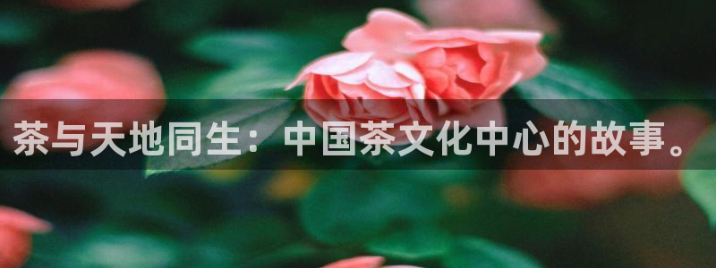 龙八国际app怎么下载