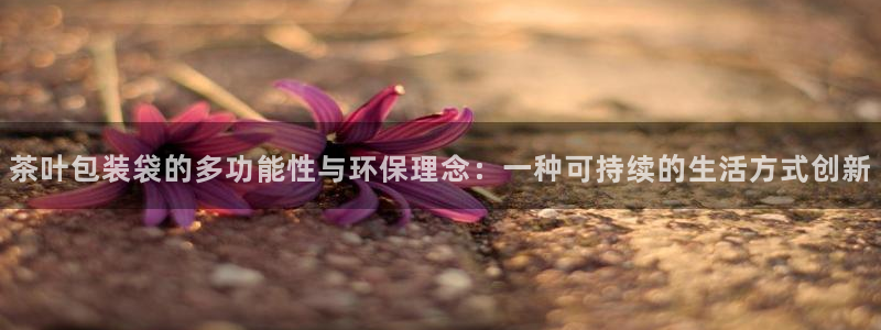 龙八国际娱乐正版