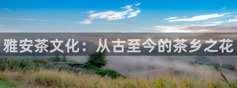 龙八国际网站手机版