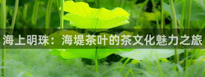 龙八国际有没有假