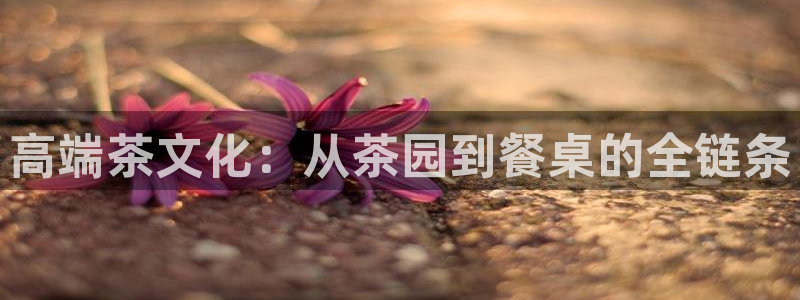 龙八国际娱乐老虎机