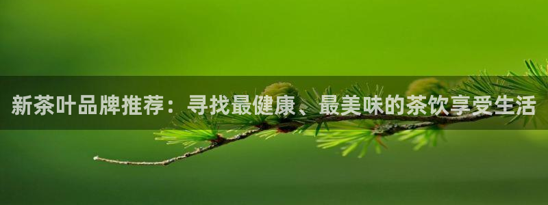 不会玩龙八国际