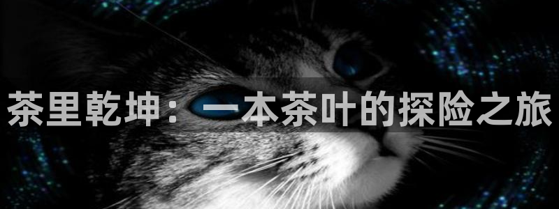 龙八国际手机版首页