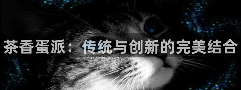 龙八国际城网站