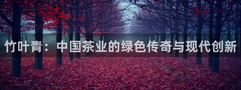 龙八国际网站登录