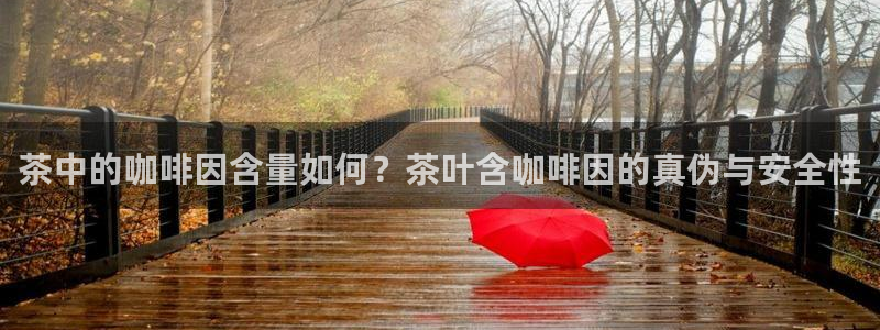 龙八国际app手机版下载苹果