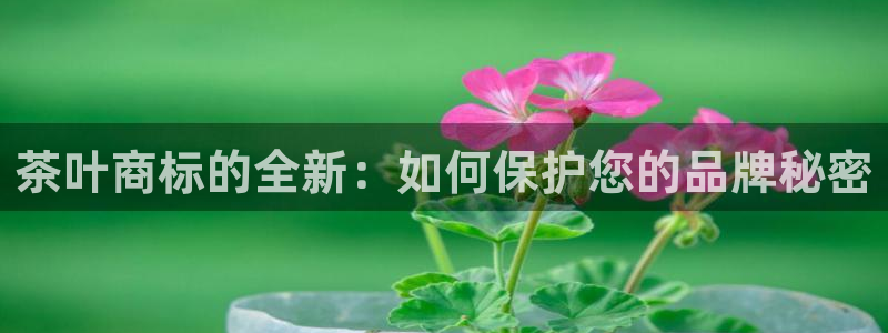 龙八国际娱乐官网首页