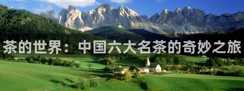 龙八国际网址f68点top