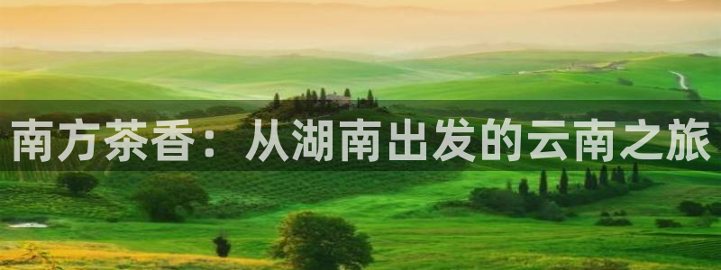 龙八国际网站全网