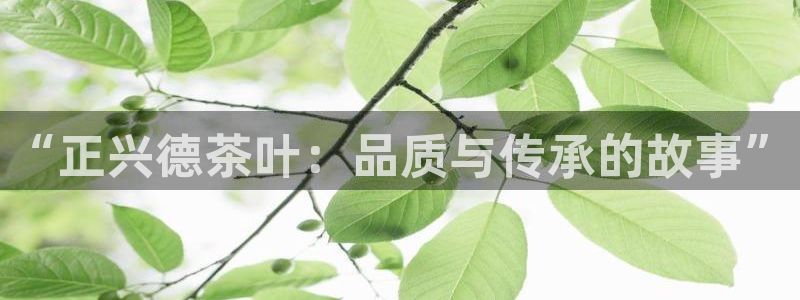 龙八国际pt游戏下载