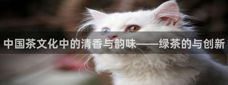 龙八国际服官网