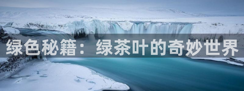 龙八国际彩金购买