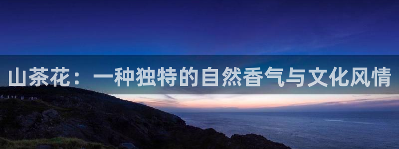 龙八国际优惠券