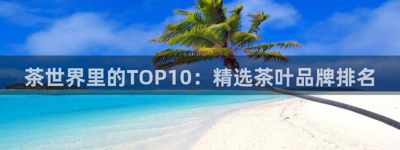 龙八国际公司是真是假