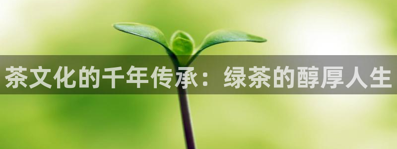 龙八国际app怎么下载