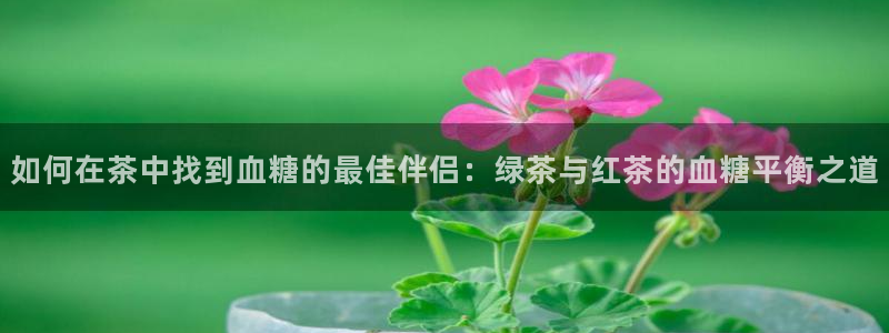 龙八国际app客户端下载安卓