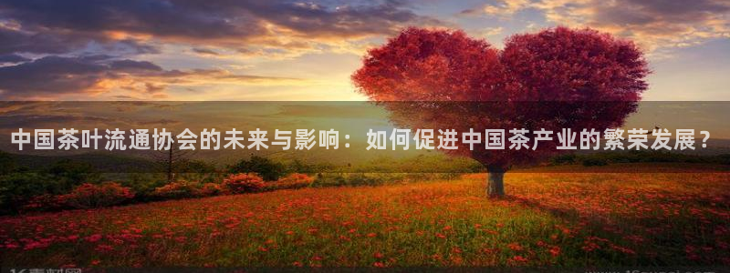 龙八国际手机端官网