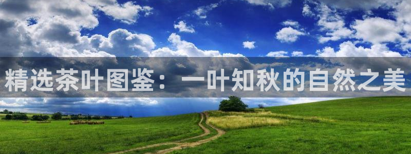 龙八国际app电话