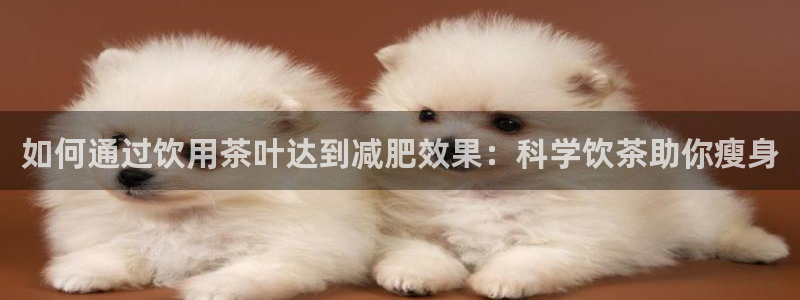 龙八国际娱乐预约