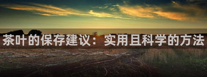 龙八国际相仿平台