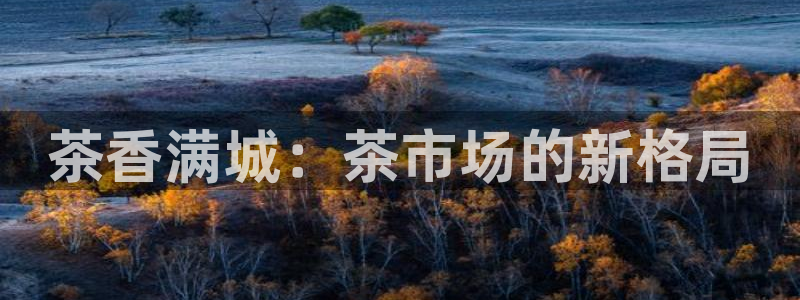 龙八国际app客户端经济区