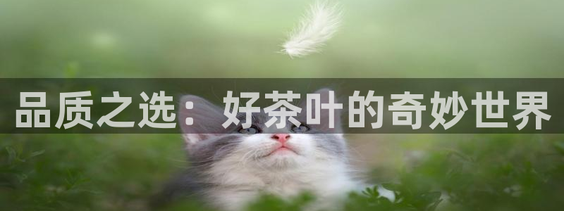 龙八国际下载链接官网