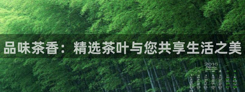 冯文戈 龙八国际集团