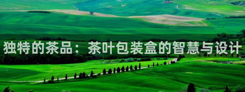 龙八国际免费下载