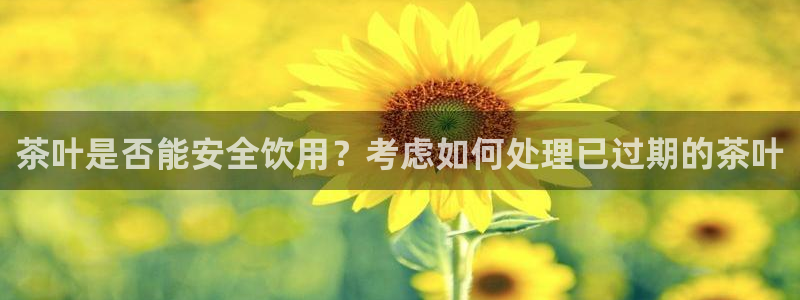 龙八国际zbzszx.com