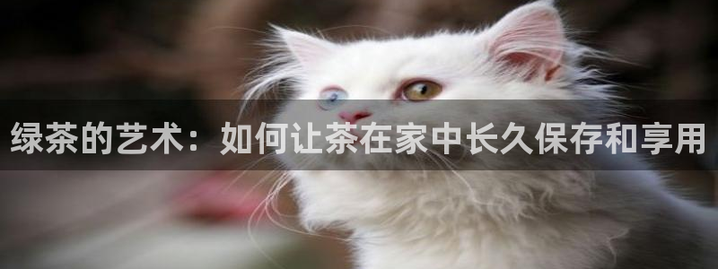 下载龙八国际手机版