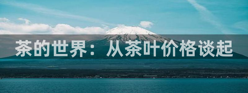 菲律宾的龙八国际