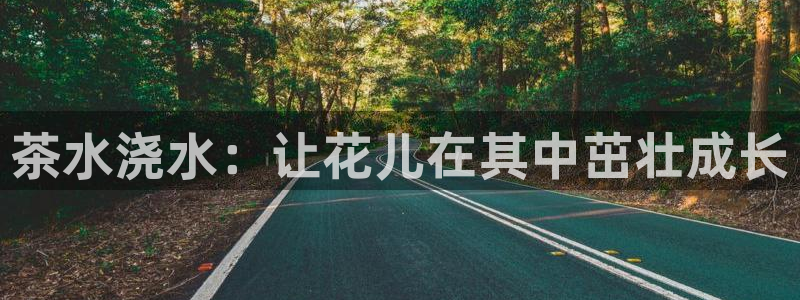 龙八国际APP客户