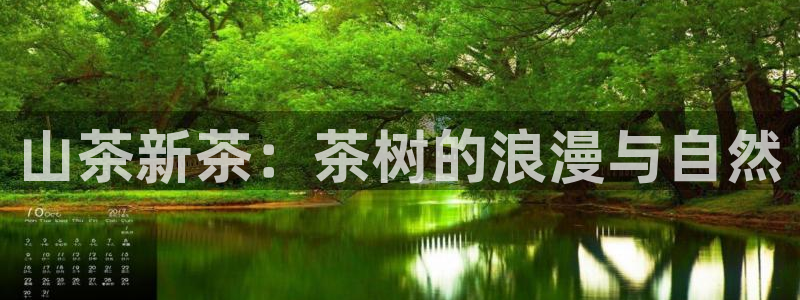 龙八国际免费下载