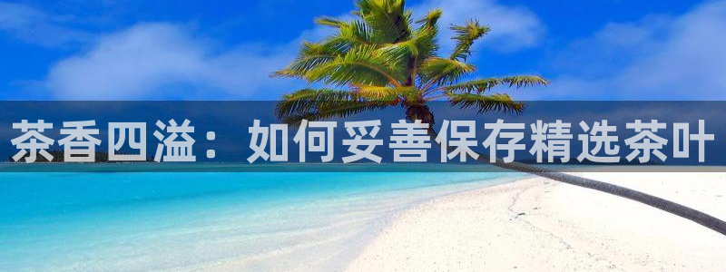 龙八国际娱乐场