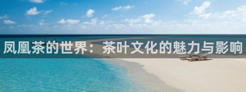 龙八国际公司是真是假