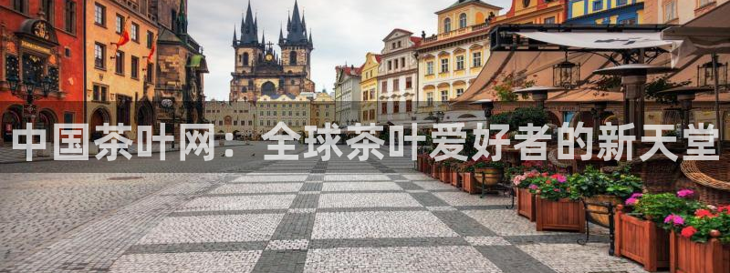 龙八国际手机下载