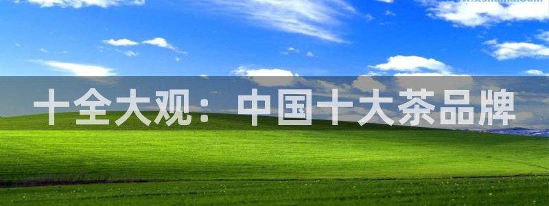 龙八国际新版本