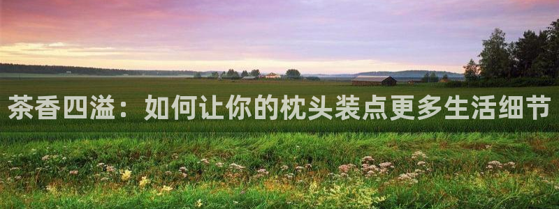 下载龙八国际手机版安装