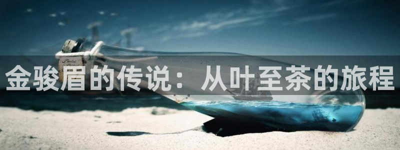 龙八国际彩金购买