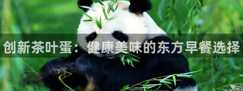 龙八国际App下载地址