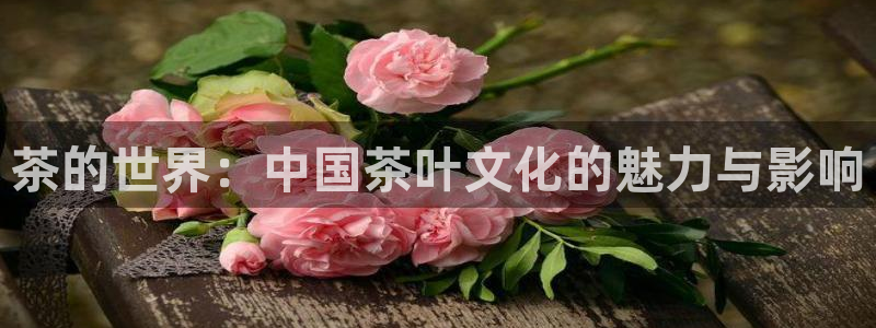 龙八国际平台可靠吗