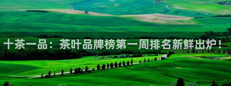 龙八国际客户端下载官网