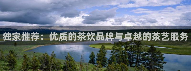 龙八国际登官网