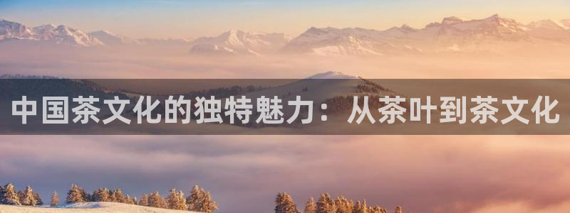 龙八国际客户端app