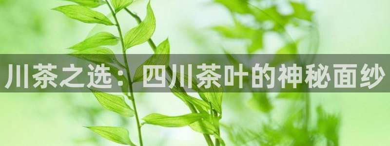 龙八国际可b48点tv