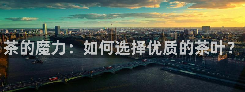 龙八国际网站多少